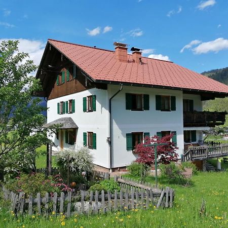 Ferienwohnungen Asterbach Gosau Kültér fotó