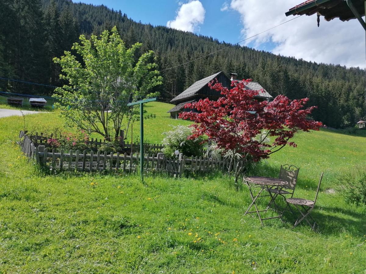 Ferienwohnungen Asterbach Gosau Kültér fotó