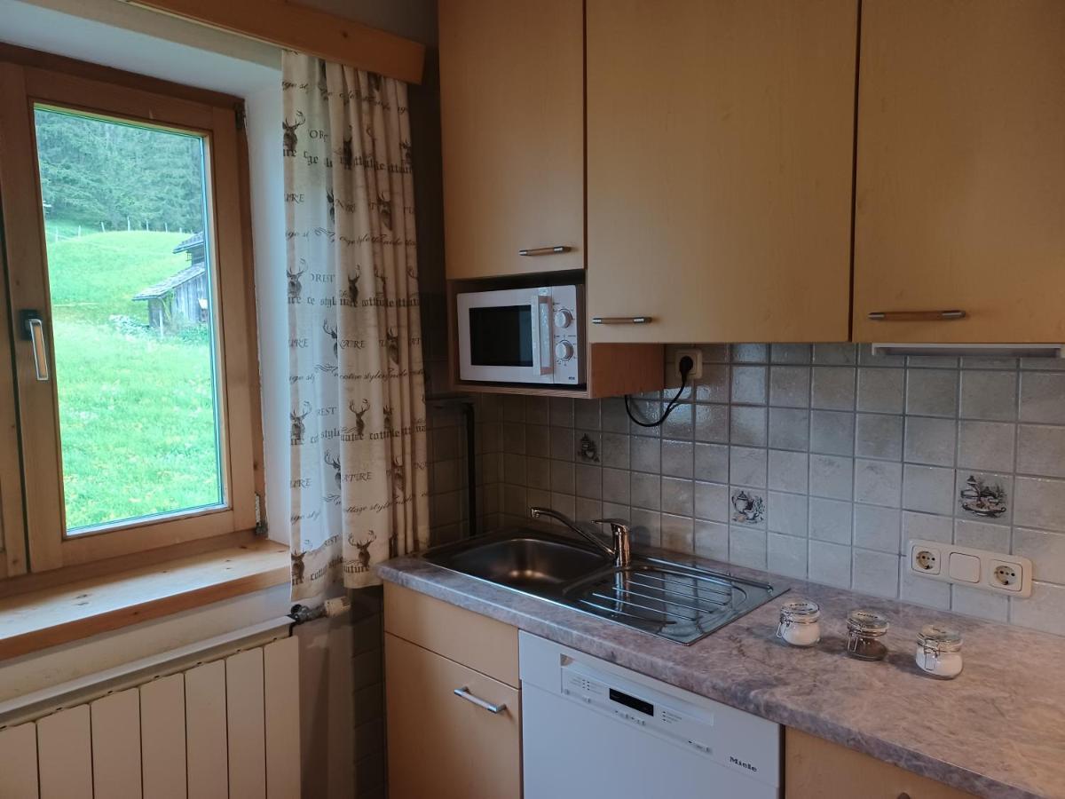 Ferienwohnungen Asterbach Gosau Kültér fotó