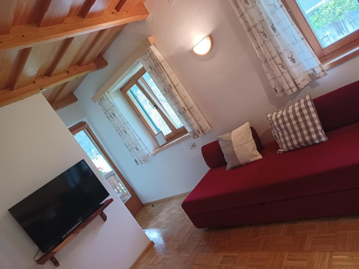 Ferienwohnungen Asterbach Gosau Kültér fotó